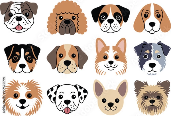 Fototapeta Cute cartoon dog breed faces collection, twelve pet head illustrations in grid layout, animal character design for kids – cad drawing flat vector illustration