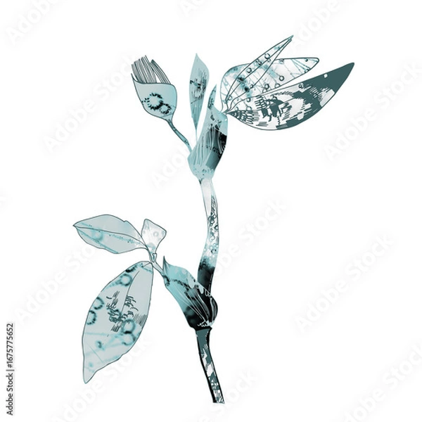 Fototapeta Hand Drawn Plant