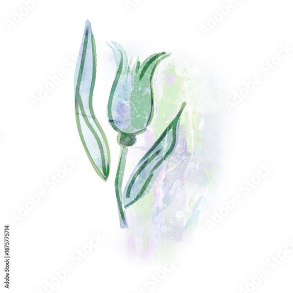 Fototapeta Acrylic Tulip