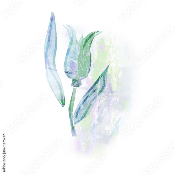 Fototapeta Acrylic Tulip