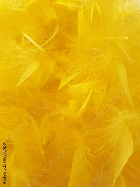 Obraz Yellow wig curls texture. Fancy. Carnival pattern fantasy headdresses. Party and fun background.