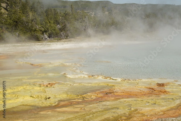 Fototapeta Geysir im Yellowstone NP