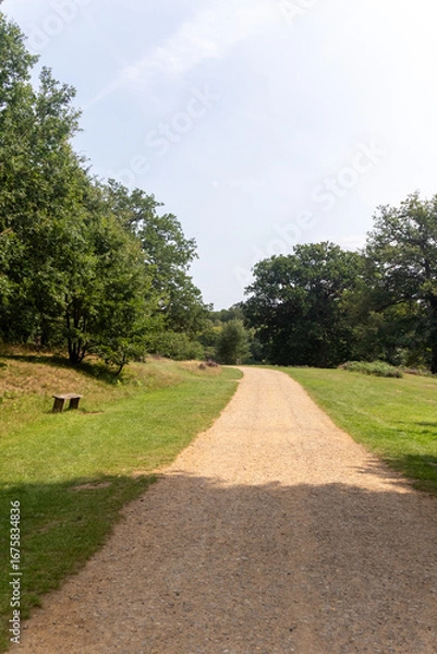 Fototapeta Virginia Water Paths