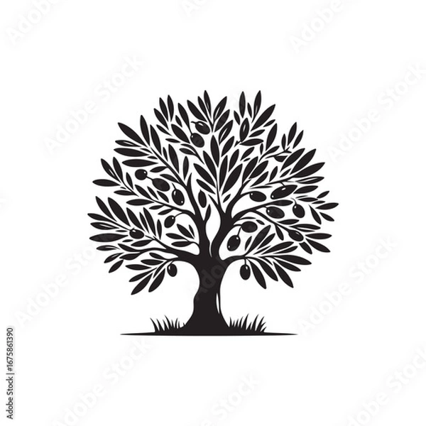 Fototapeta Olive tree Vector (1).eps
