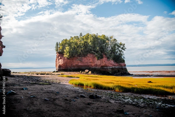 Obraz Burntcoat Nova Scotia