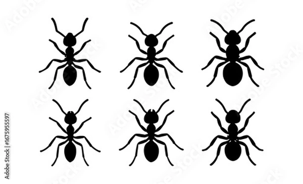 Fototapeta Silhouette collection of six ants in various poses on white background