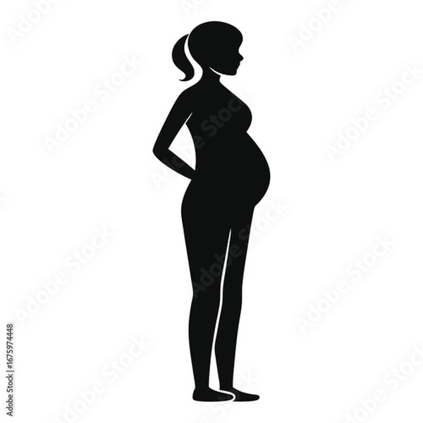Fototapeta Pregnant Woman Silhouette Vector Icon Motherhood and Maternity