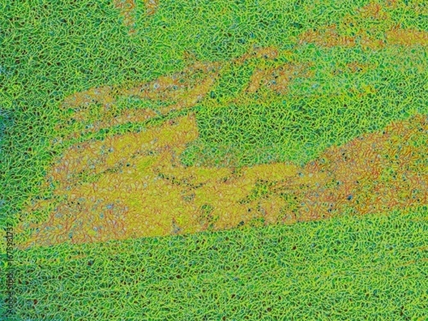 Fototapeta A complex abstract pattern with a vibrant, tangled yellow-green field punctuated by a bold, curving orange and yellow band, creating a sense of movement and energy. Digitally generated images.