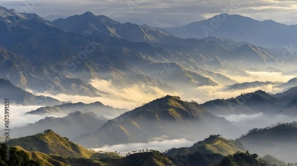 Fototapeta A breathtaking vista of a mountain range blanketed in a soft, ethereal mist, highlighting the rugged peaks and valleys.