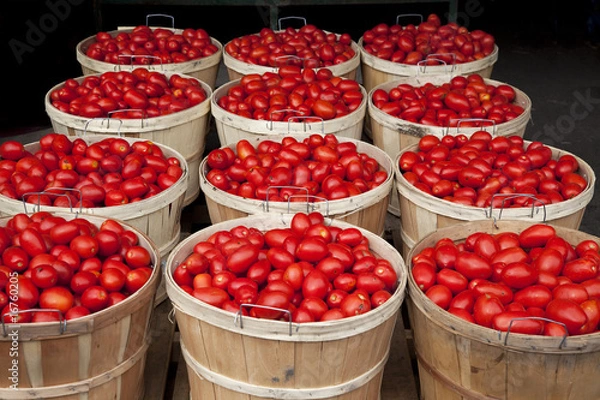 Obraz Baskets full of tomatoes