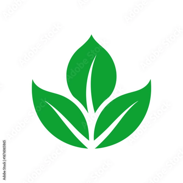 Fototapeta Eco green leaf logo icons pack minimal design collection clean vector style isolated on white background