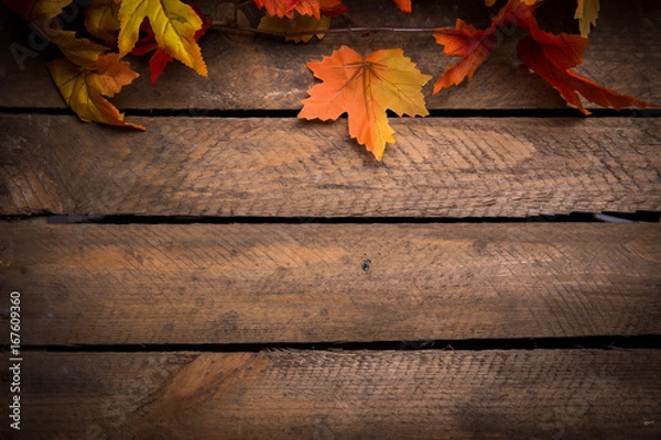 Obraz Herbstblätter