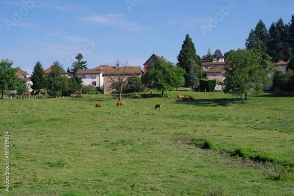 Obraz sunlight and nature