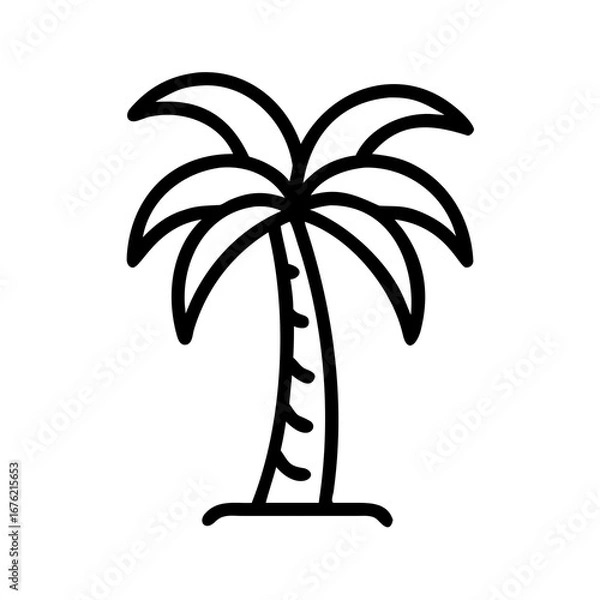 Fototapeta palm tree vector illustration