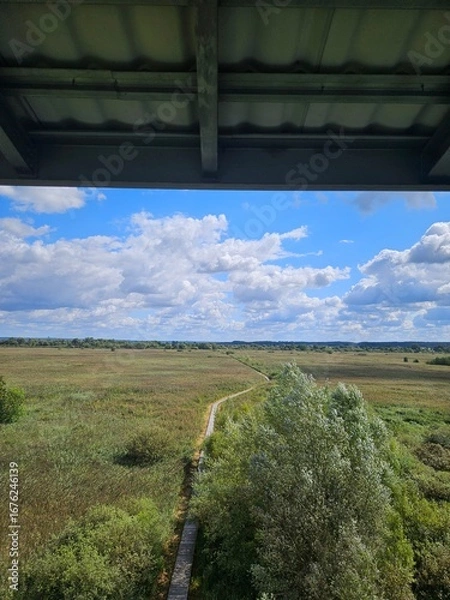 Obraz Bagno w Przemkowie