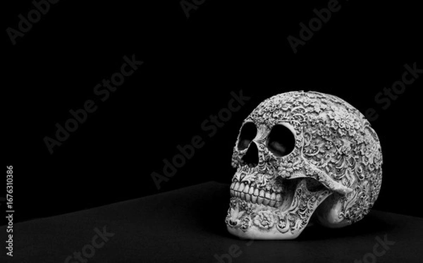 Obraz skull on black background