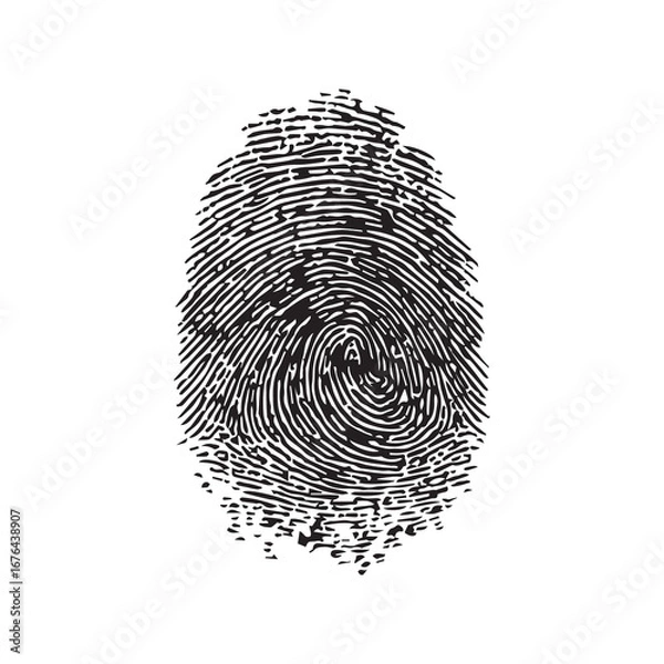 Fototapeta Unique Black and White Fingerprint on a Plain White Background