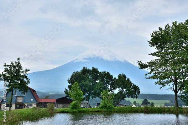 Fototapeta 池に映る逆さ富士と夏の富士山