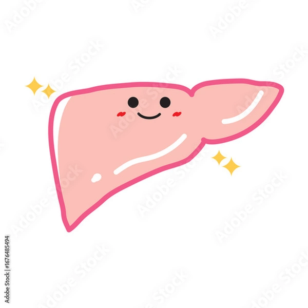 Fototapeta 人の臓器キャラクター　健康な肝臓