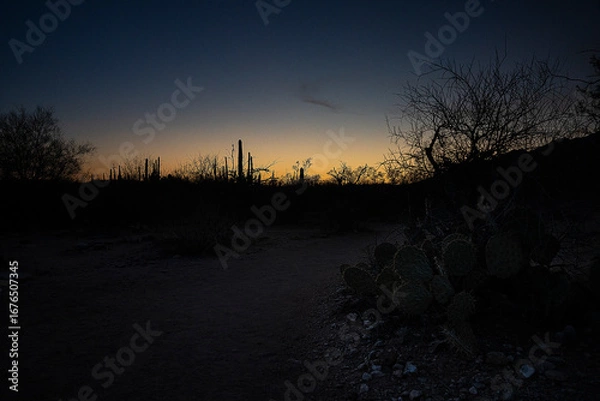 Fototapeta Darkened Desert Floor