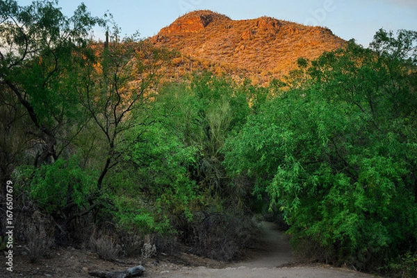 Fototapeta Sunset and Shade