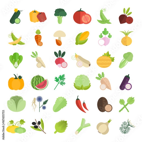 Fototapeta Set Vector Illustration of Vegetables