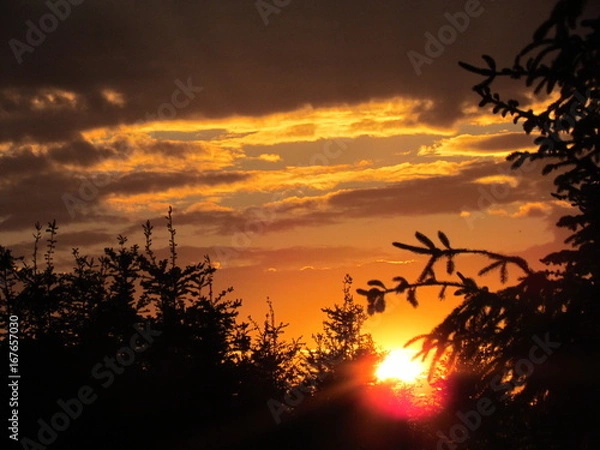 Obraz Couché de soleil