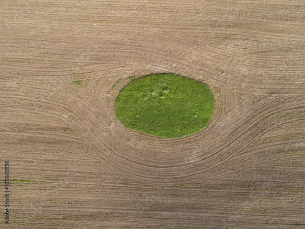 Obraz Остров, зеленой травы, среди вспаханного поля, вид сверху