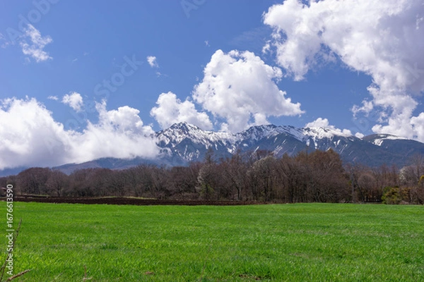 Obraz 野辺山高原の牧草地越しに眺める残雪の八ヶ岳連峰