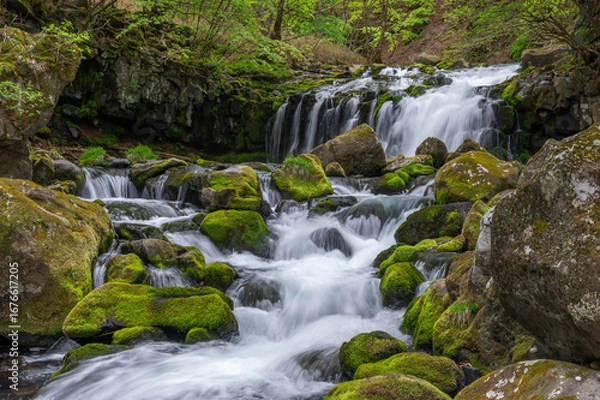 Obraz 新緑に囲まれた蓼科大滝と滝ノ湯川の流れ