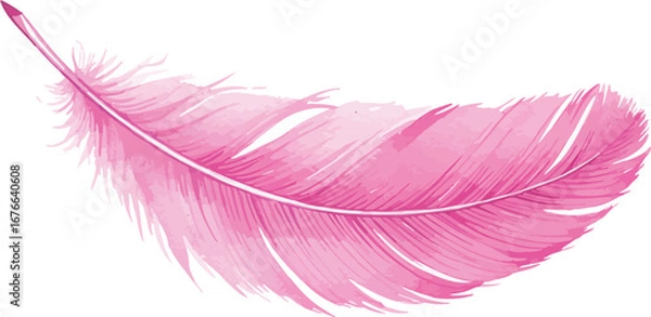 Fototapeta A single pink feather isolated on a white background on transparent background