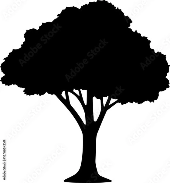 Fototapeta Rooted in Silence: The Tree of Life"