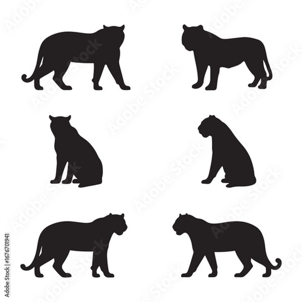 Obraz Tiger Silhouettes on White Background