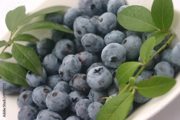 Obraz blueberries and leaf on white plate