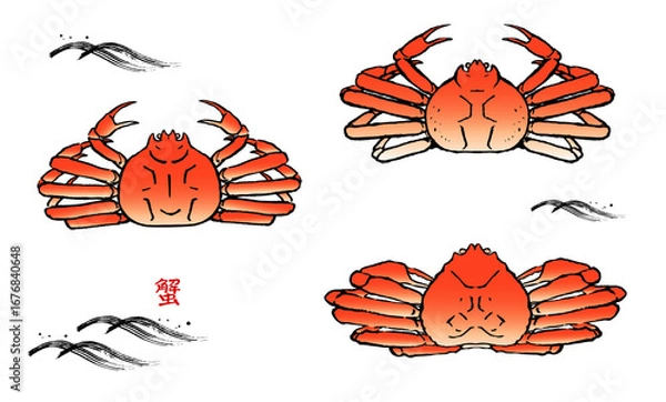 Obraz 手描きの蟹