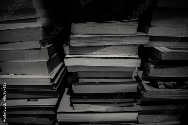 Obraz montaña de libros