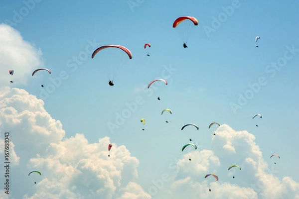 Fototapeta Competitions paragliders on the ridge Borzhava in the Carpathians in Ukraine. A large group of paragliders flies in the sky against the background of clouds.