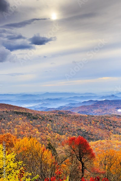 Obraz foggy mountain scene in fall