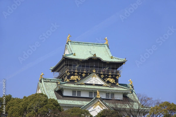 Fototapeta 大阪城