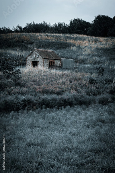 Obraz Park Leeds Castle