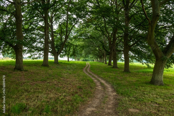 Obraz Park Leeds Castle