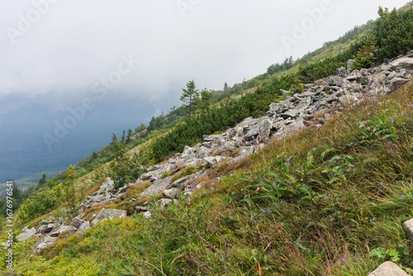 Obraz Beautiful summer mountain landscape with clouds