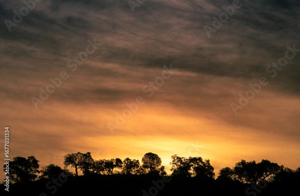 Obraz nascer do sol na pradaria