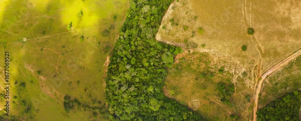 Obraz Environmental reserve area between grass pastures used for raising animals