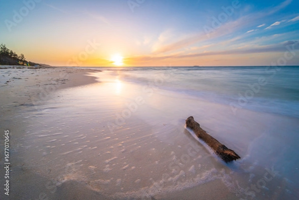 Obraz Driftwood on a Beach at Sunset