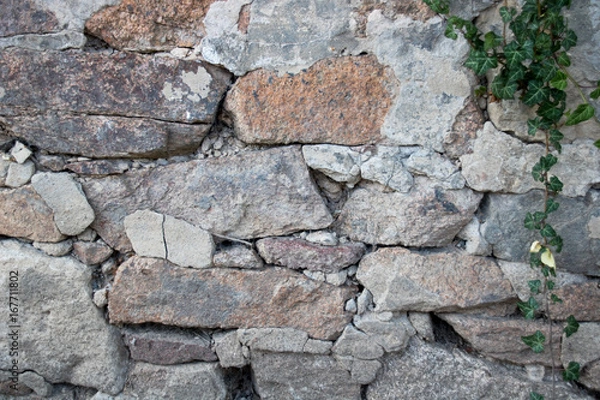 Obraz altes Mauerwerk mit Bewuchs