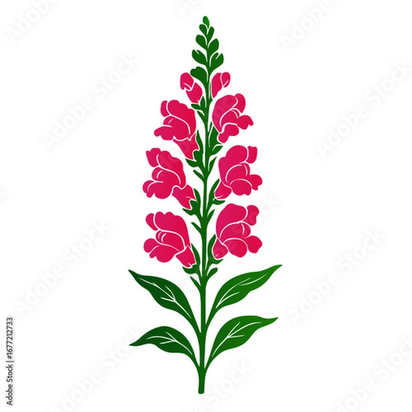 Fototapeta Snapdragon Flower