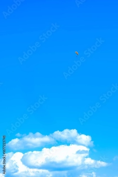 Obraz Paragliding in the sky