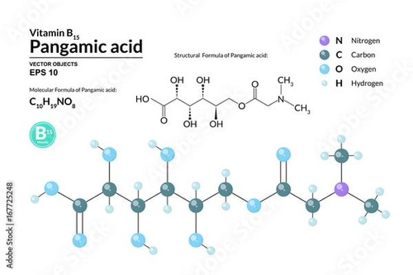 Fototapeta Structural chemical molecular formula and model of Pangamic acid. Atoms are represented as spheres with color coding isolated on background. 2d, 3d visualization and skeletal formula. Vector formula