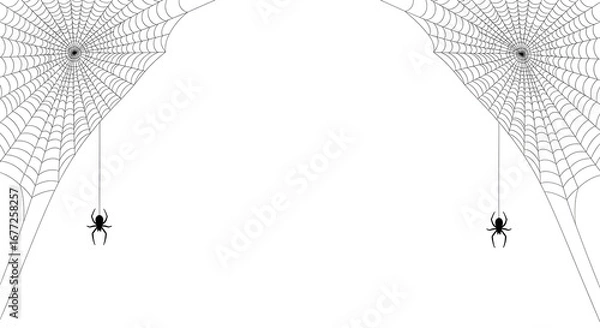 Fototapeta Creepy Halloween spider webs with spiders hanging on white background - vector illustration